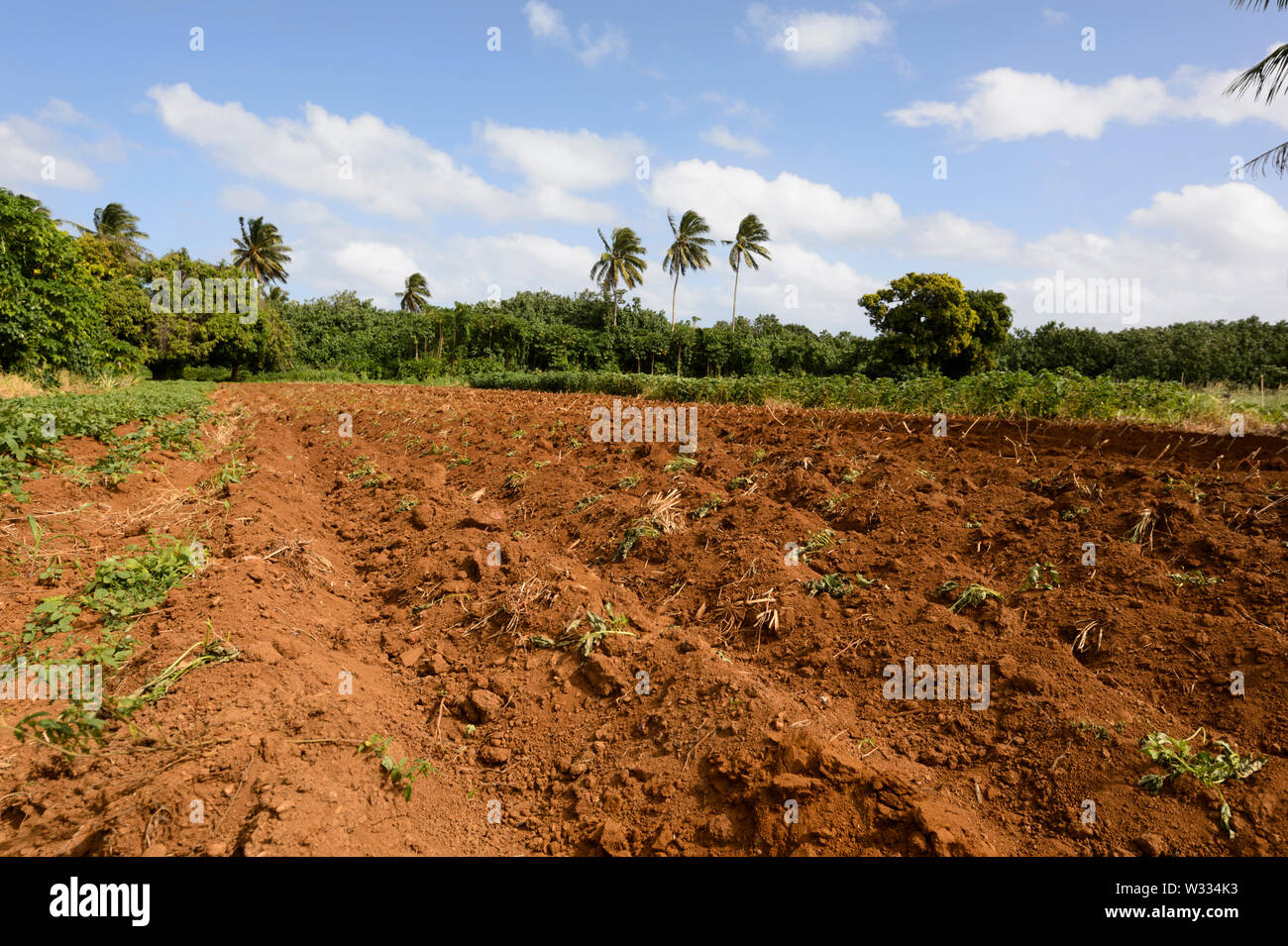 Land used for agriculture hi-res stock photography and images - Alamy