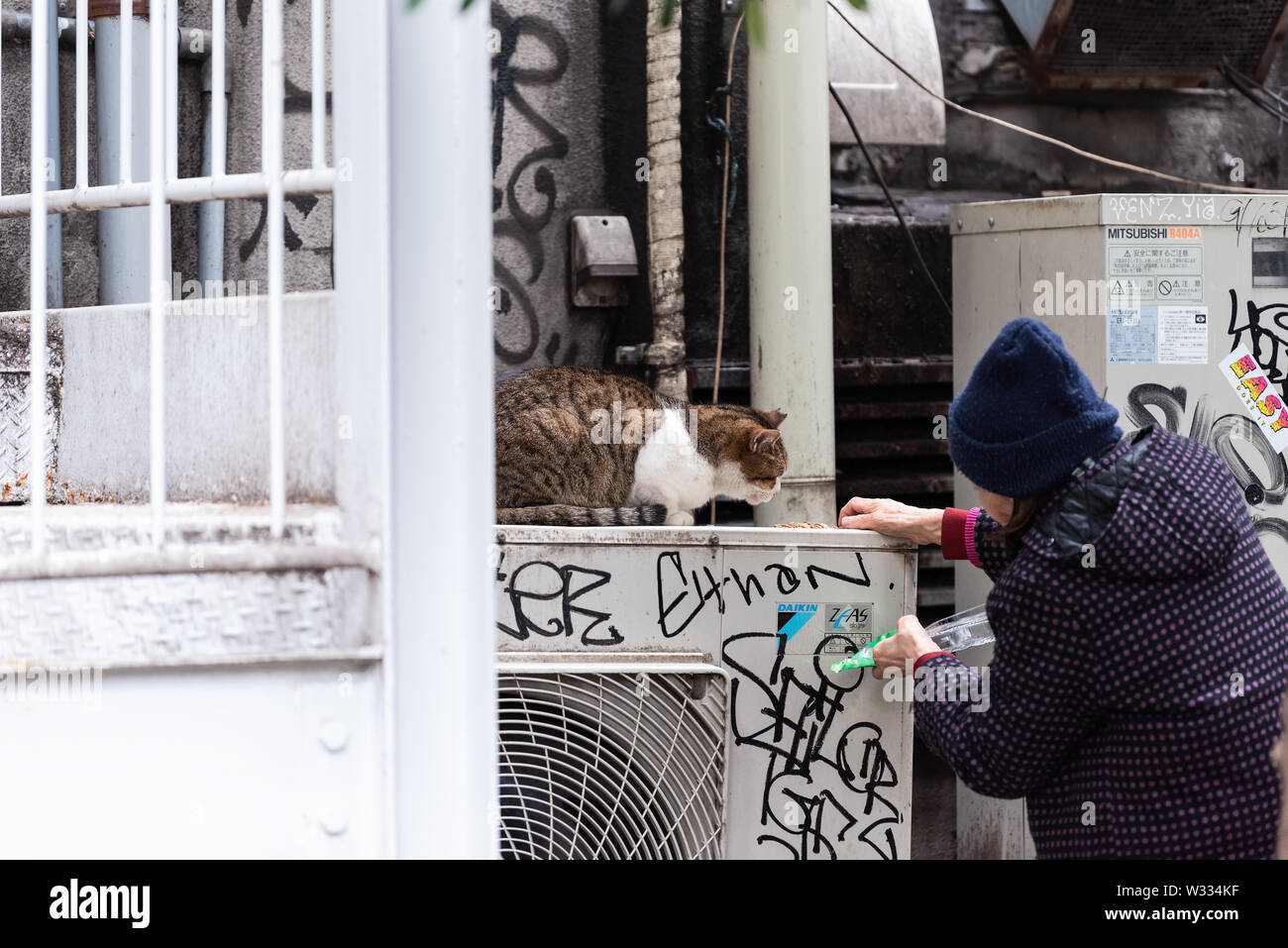 Tokyo, Japan - April 1, 2019: Senior woman feeding stray cat with dry food in Shinjuku boardwalk Four Seasons Park Stock Photo