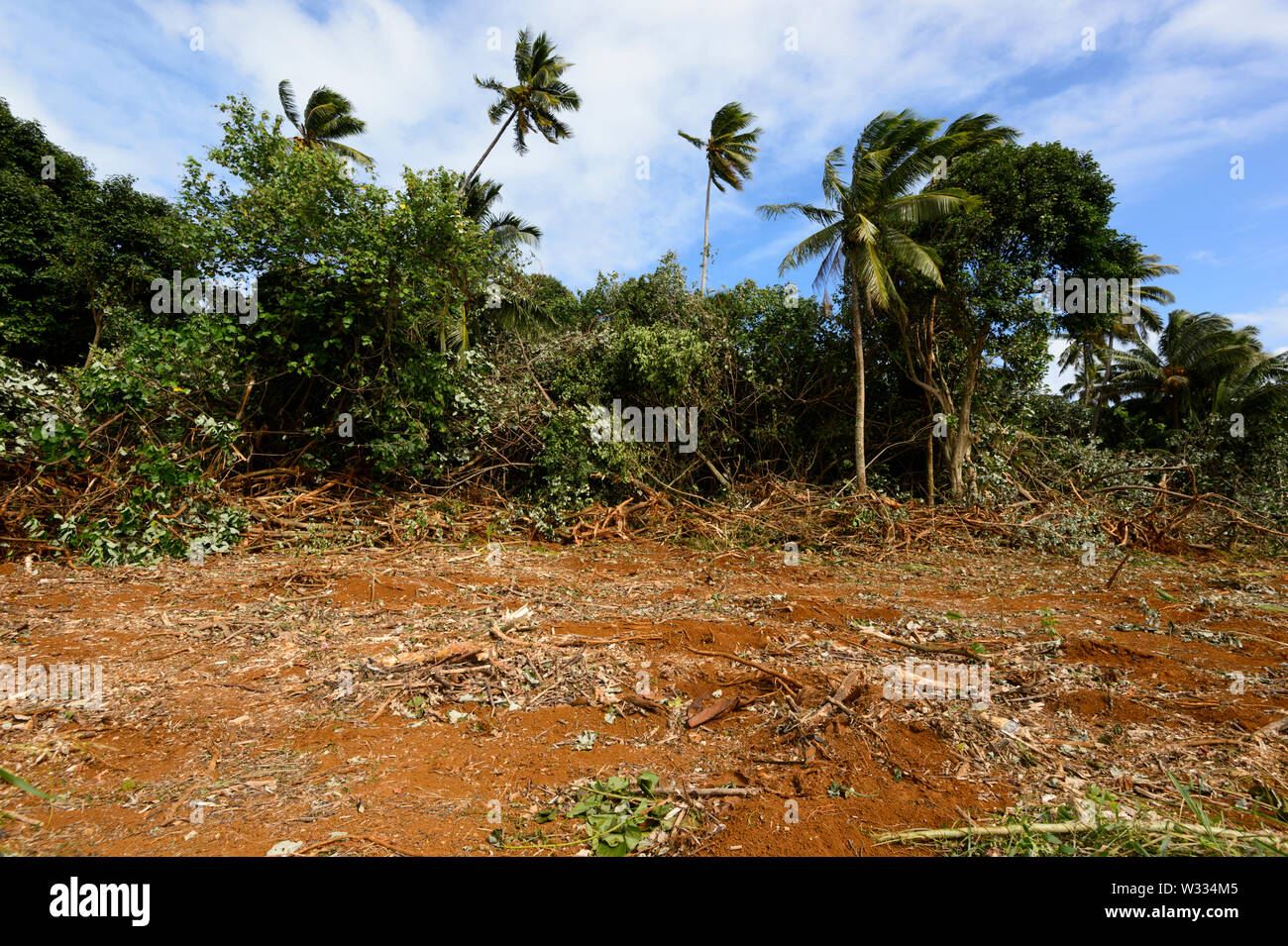Land clearing hi-res stock photography and images - Alamy