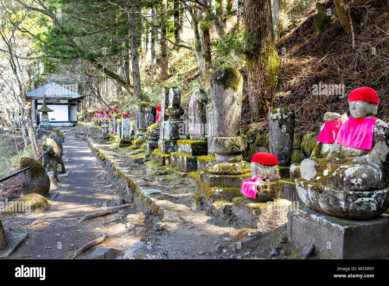 Famous stone red Jizo statues in Kanmangafuchi Abyss of Nikko, Tochigi