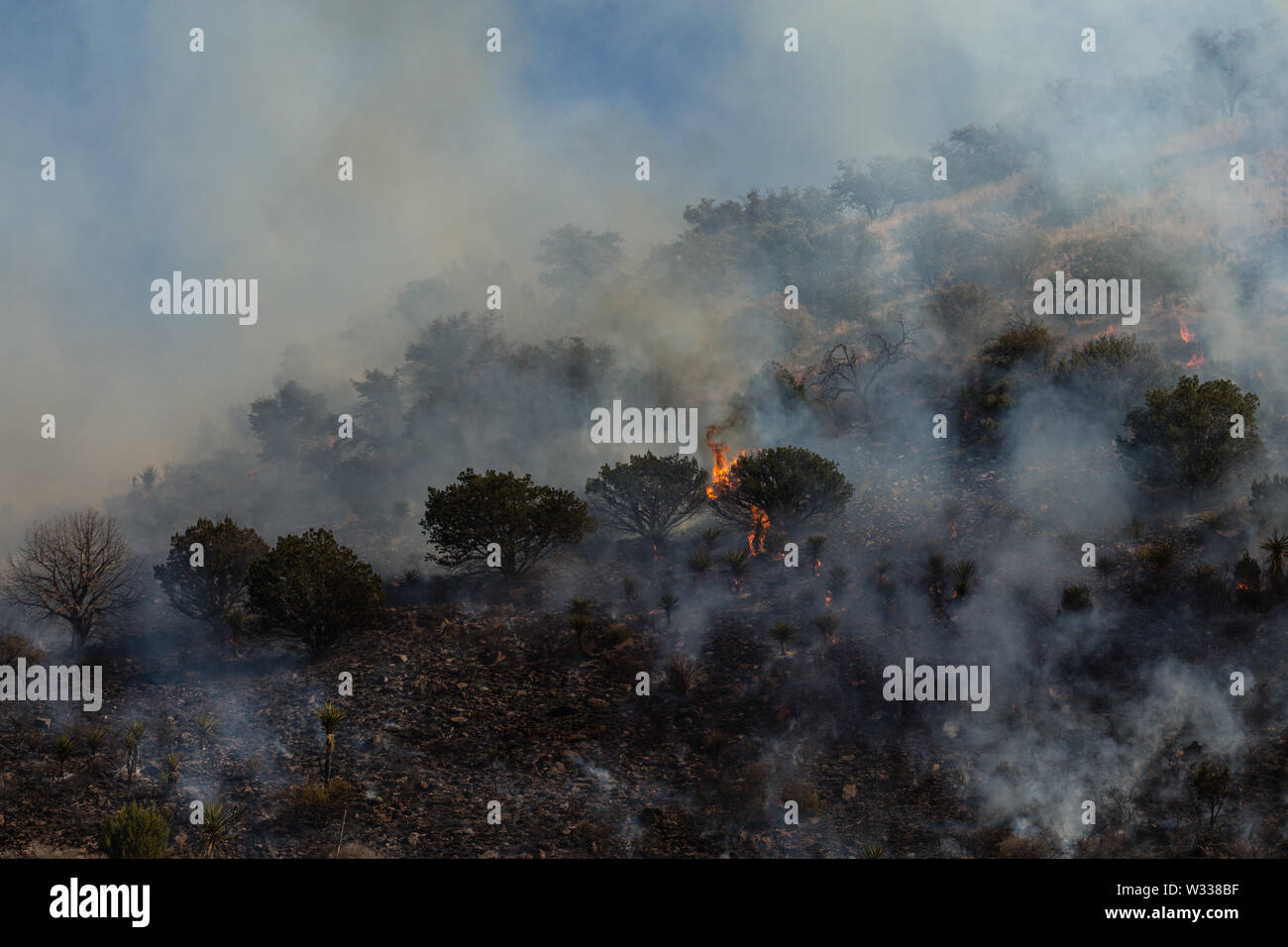 Juniper fire hires stock photography and images Alamy