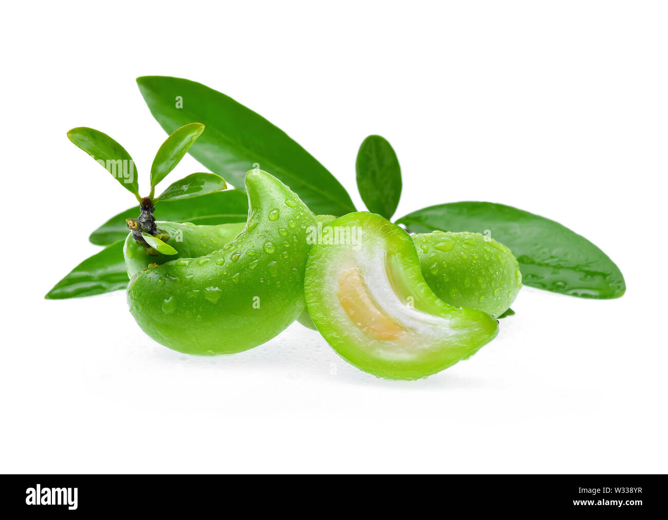 Garcinia schomburgkiana Pierre With drops of water on white background Stock Photo
