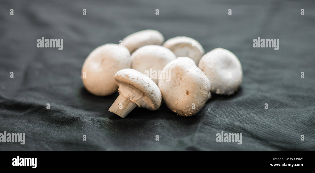 Pattern of button mushrooms against black background Stock Photo