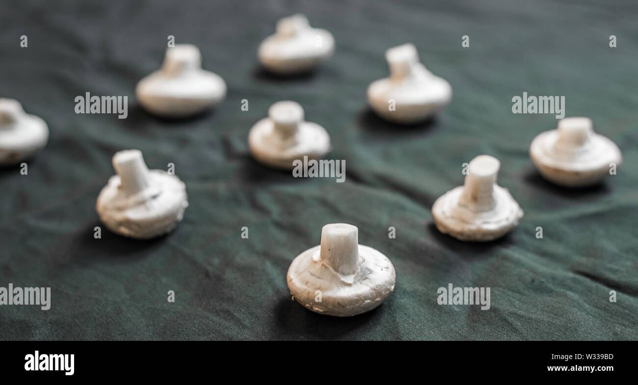 Pattern of button mushrooms against black background Stock Photo