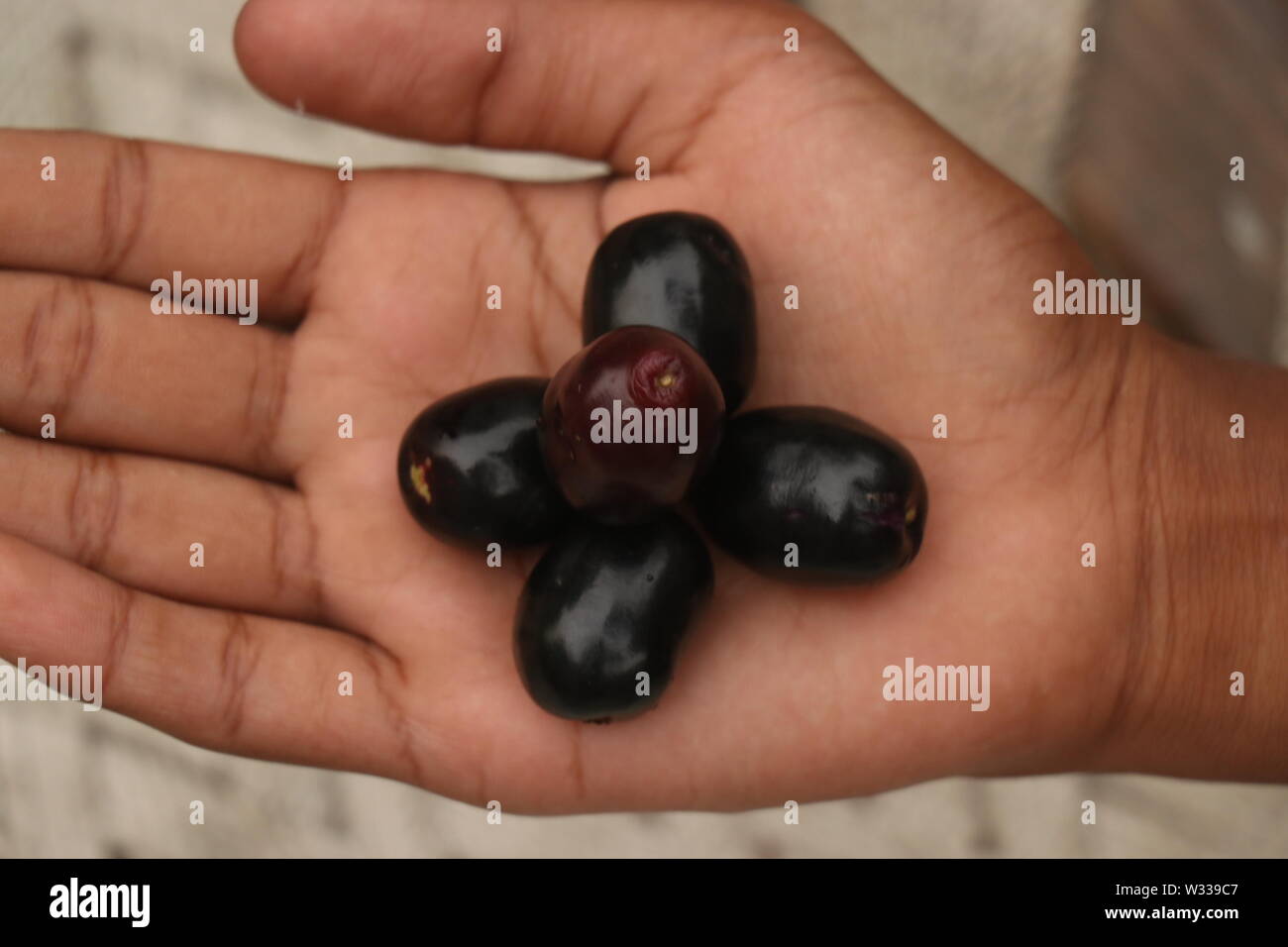 blu berry fruit must poisonous Stock Photo