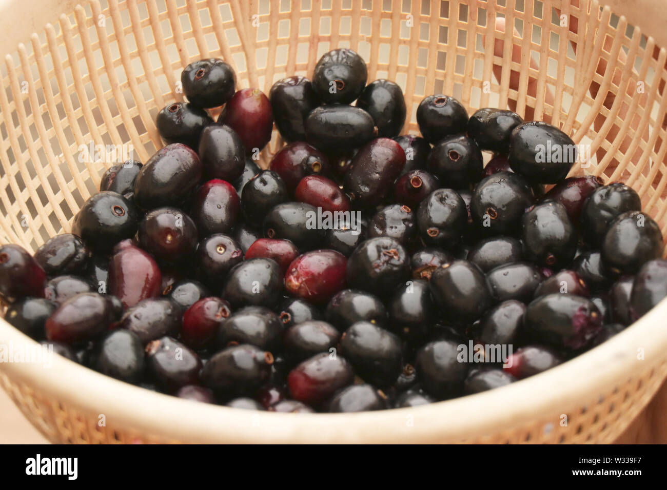 blu berry fruit must poisonous Stock Photo