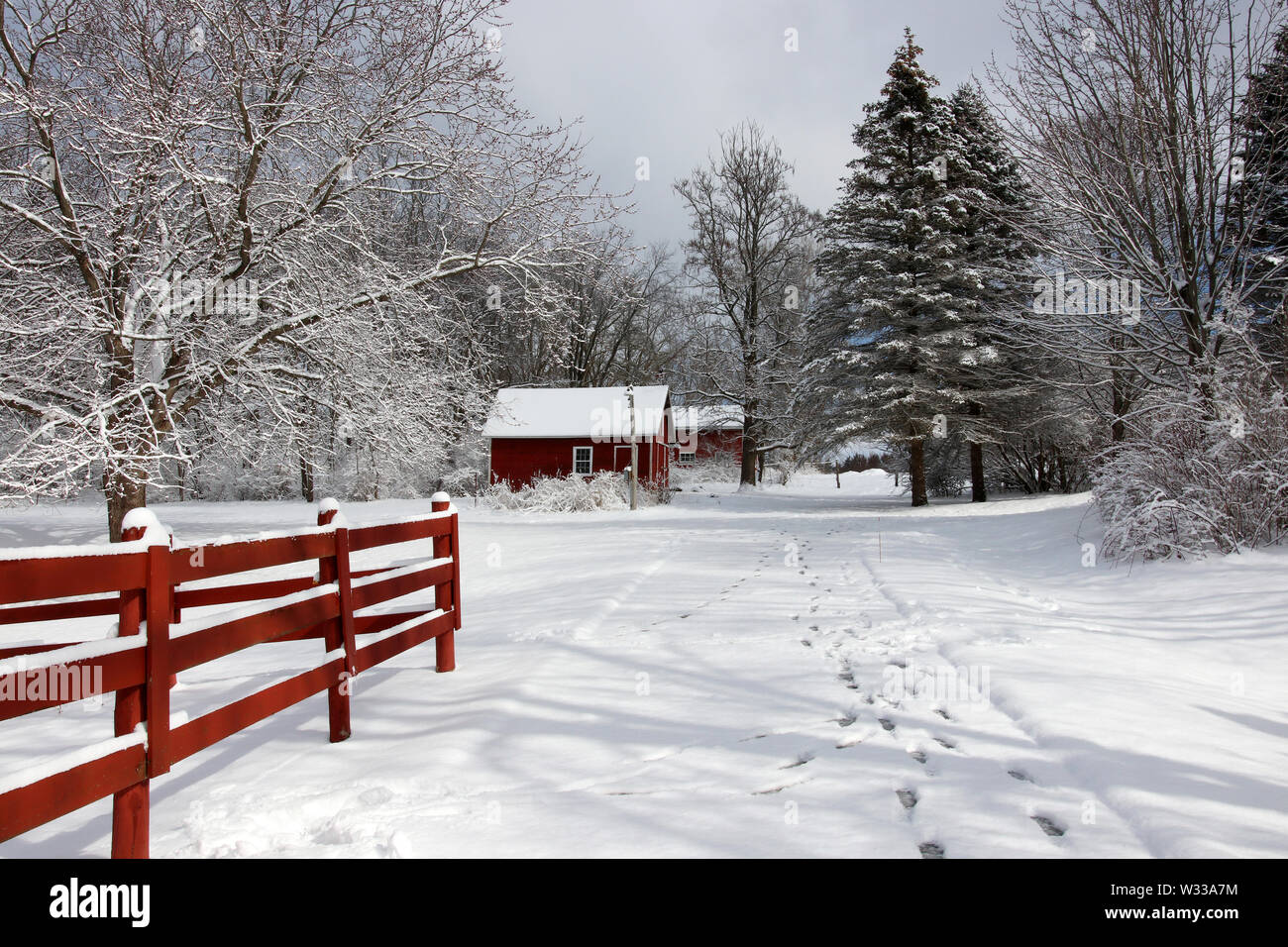 Rural landscape with red barns, wooden red fence, trees and road covered by fresh snow. Scenic winter view at Wisconsin, Midwest USA, Madison area. Stock Photo