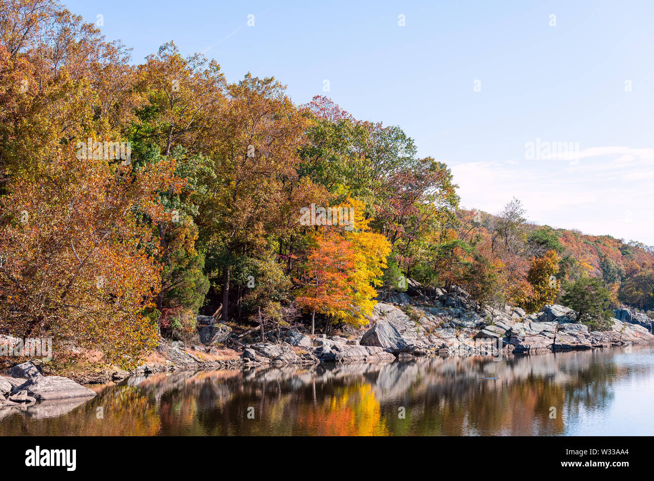 Great Falls yellow orange autumn tree reflection view in canal lake river surface during autumn in Maryland colorful leaves foliage Stock Photo
