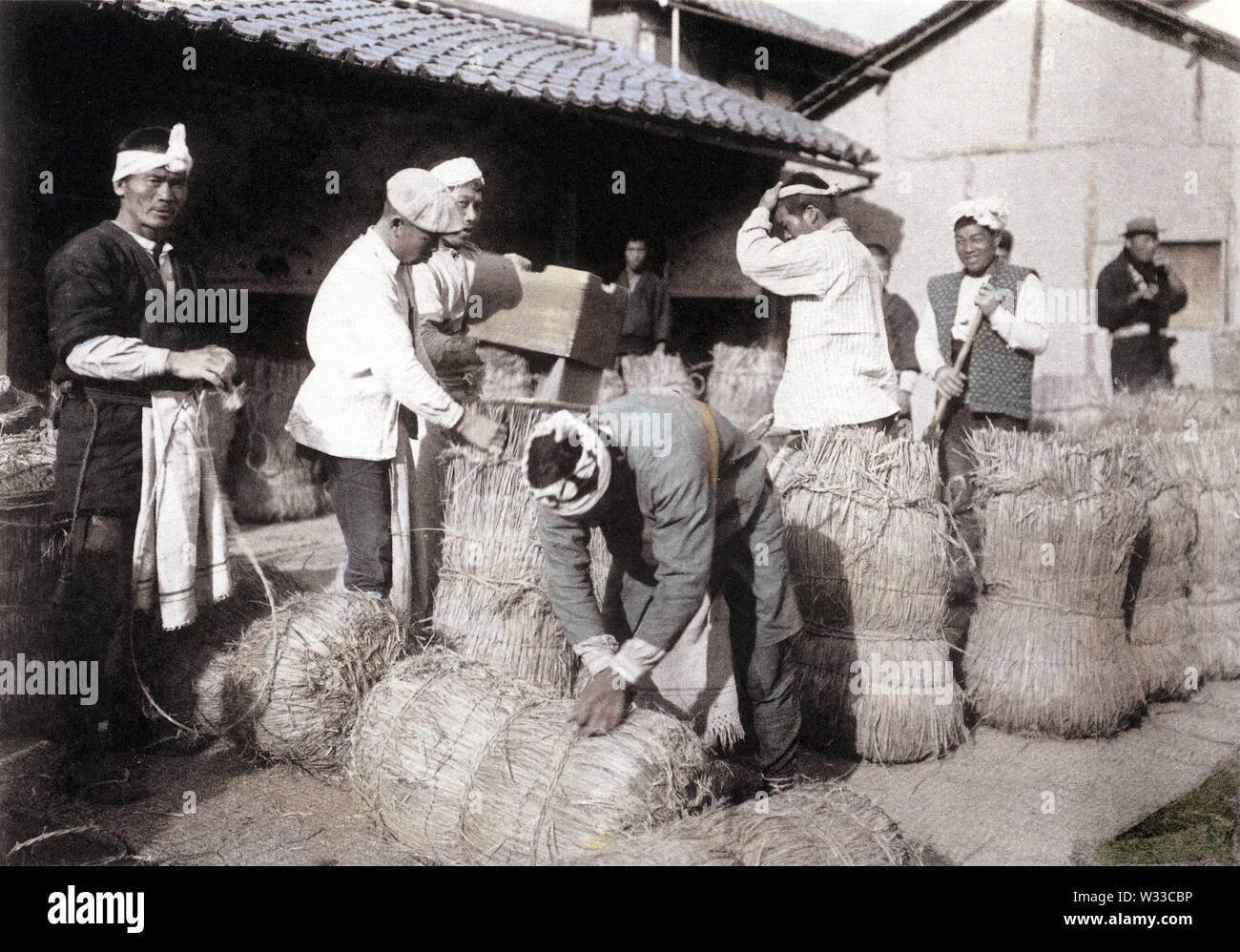 [ 1900s Japan - Japanese Workers Packing Rice ] —   Rice cultivation in Japan: Packing rice. This image comes from “The Rice in Japan,” published in 1907 (Meiji 40) by Kobe based photographer Teijiro Takagi.  13 of 19  20th century vintage collotype print. Stock Photo
