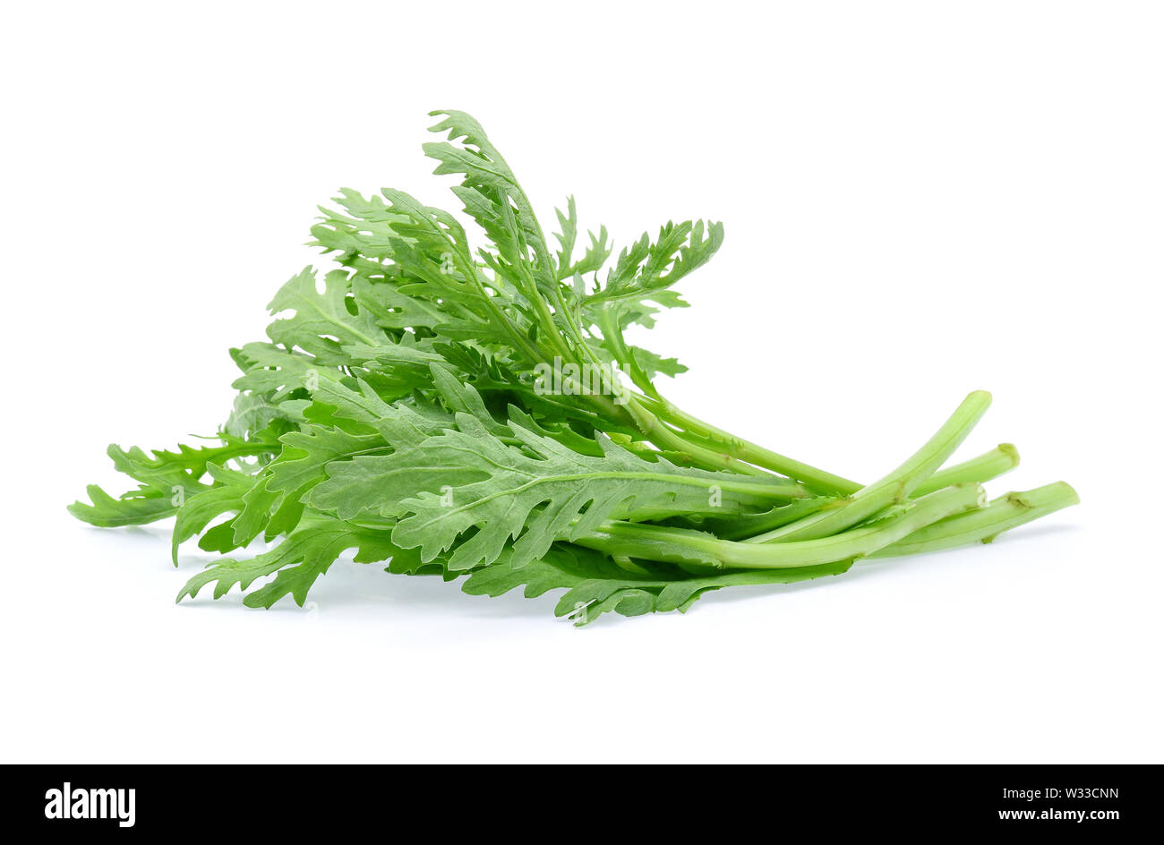 edible chrysanthemum leaf isolated on white Stock Photo Alamy