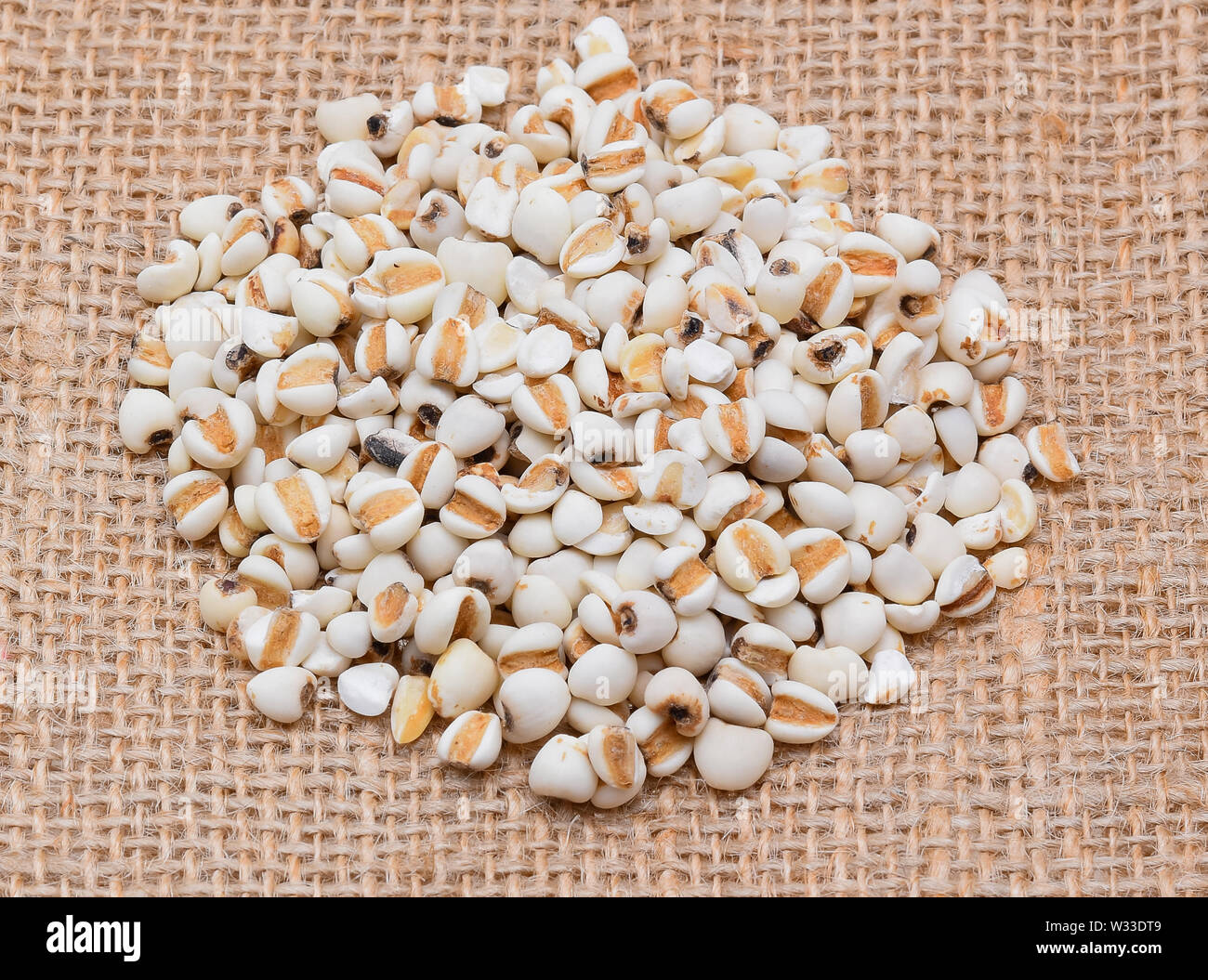Millet rice , millet grains Stock Photo Alamy