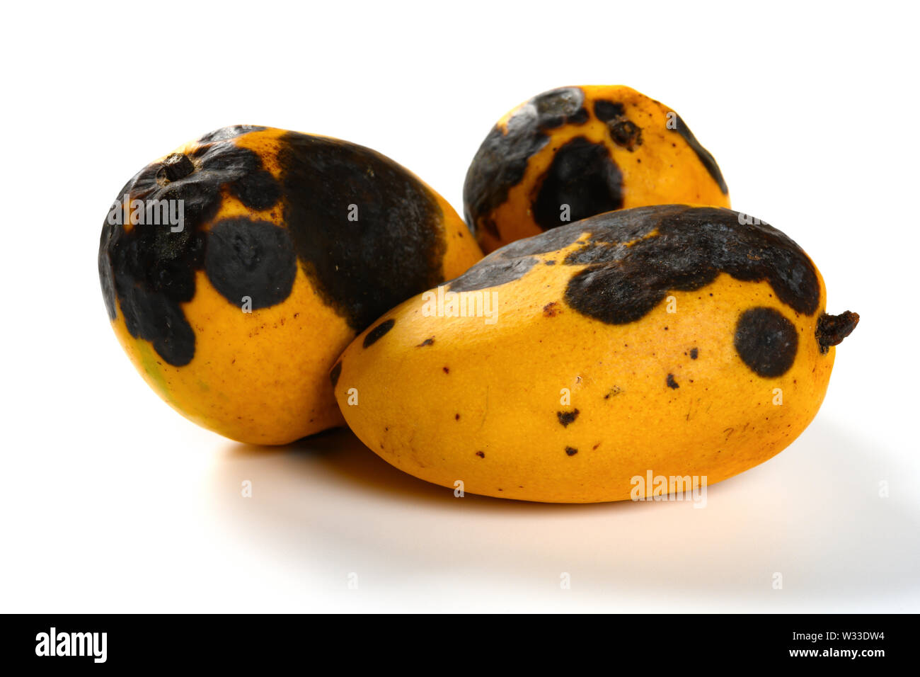 Rotting mangos hi-res stock photography and images - Alamy