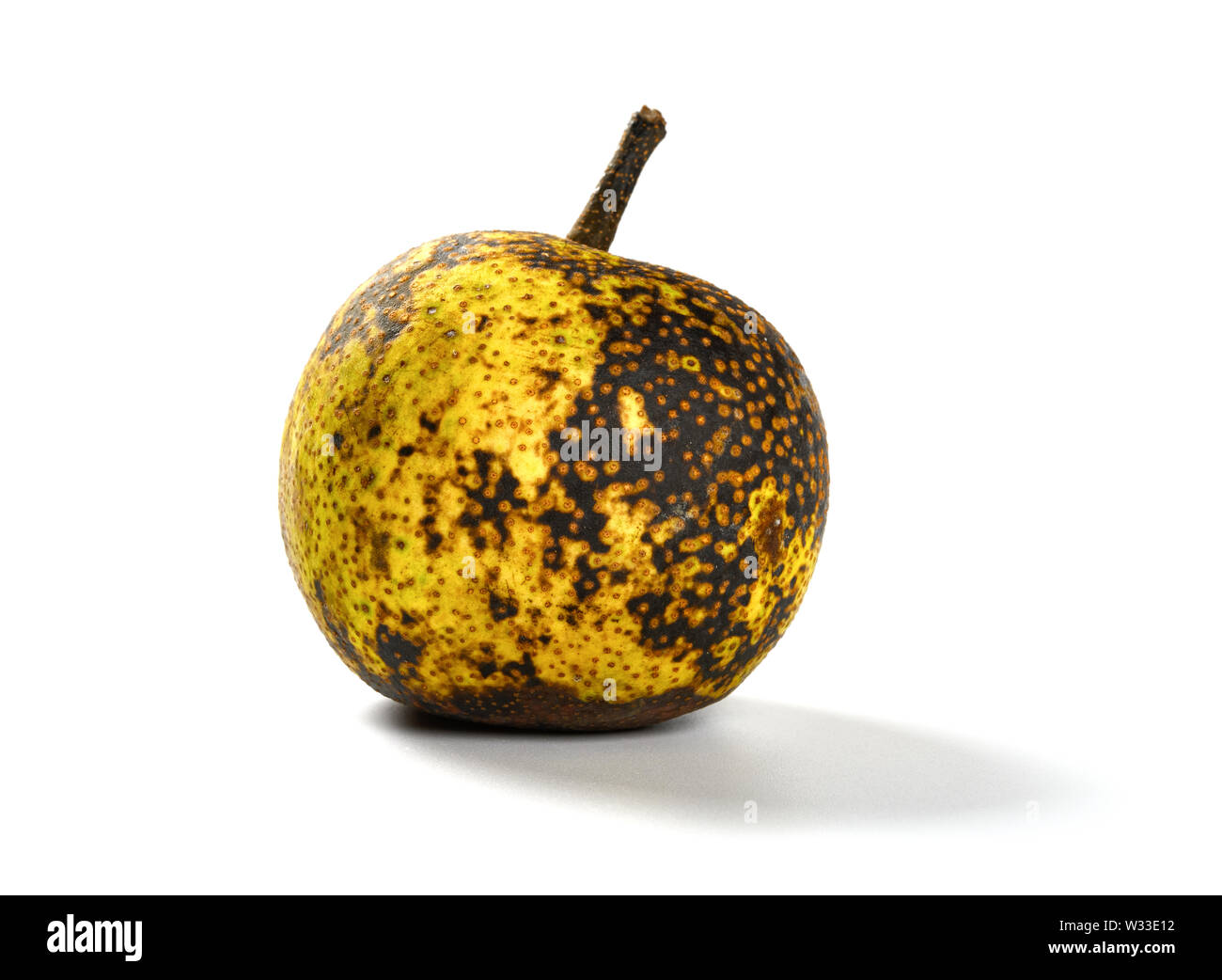 Pear Rip Off Rotten as a pear Cut Out Stock Images & Pictures - Alamy