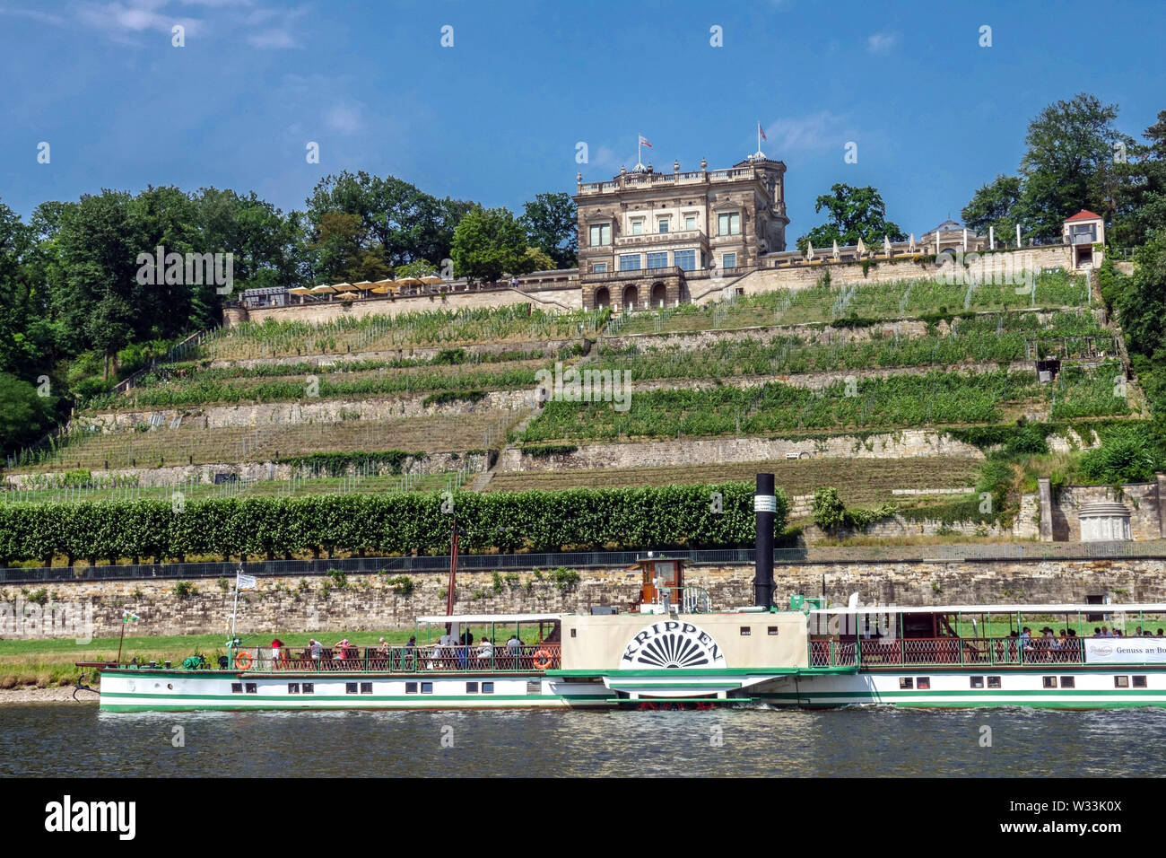 Germany Dresden, Loschwitz, Steamboat on Elbe Valley Wine Germany, Europe Castle vineyard river boat at Lingnerschloss Stock Photo