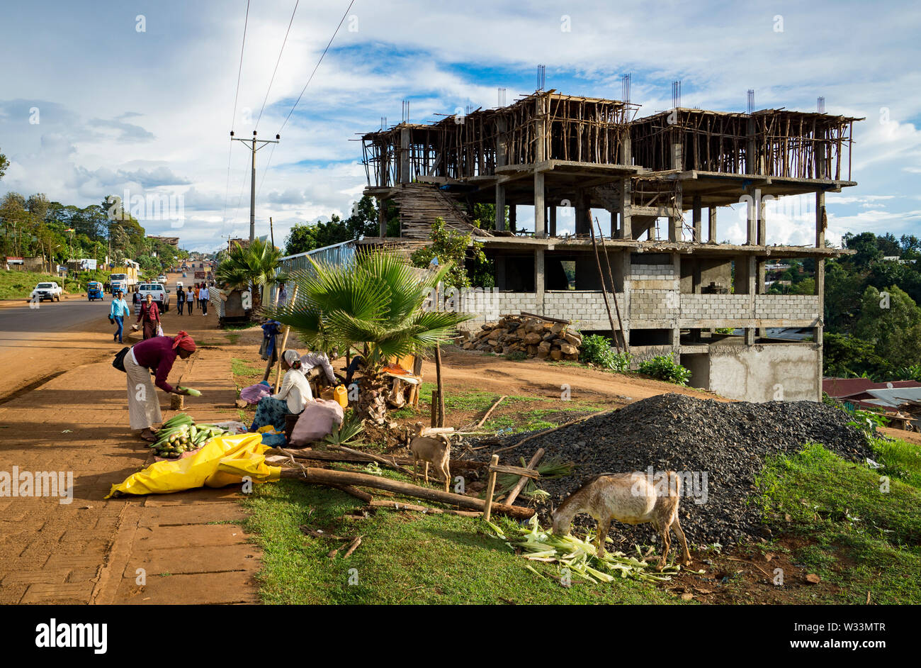 Building under construction with eucalyptus wood scaffolding in Metu, Ethiopia Stock Photo