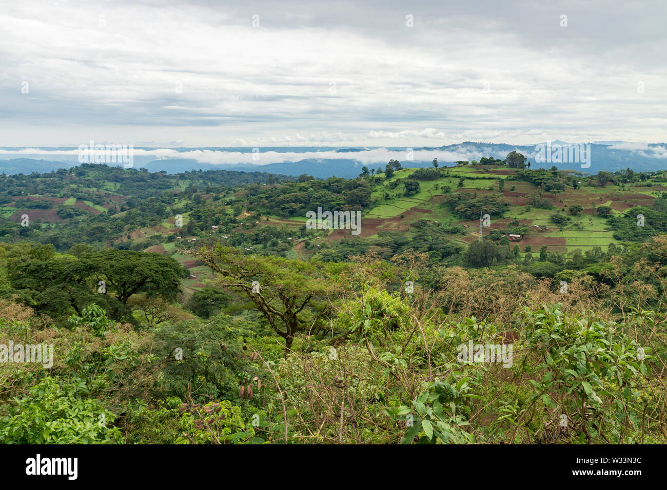 Green farming and forested landscape in Illubabor, western Ethiopia. Stock Photo