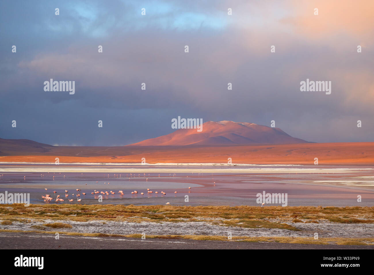 Laguna Colorada or the Red Lagoon on the Bolivian Altiplano with a Large Group of Flamingos, Potosi Department, Bolivia, South America Stock Photo