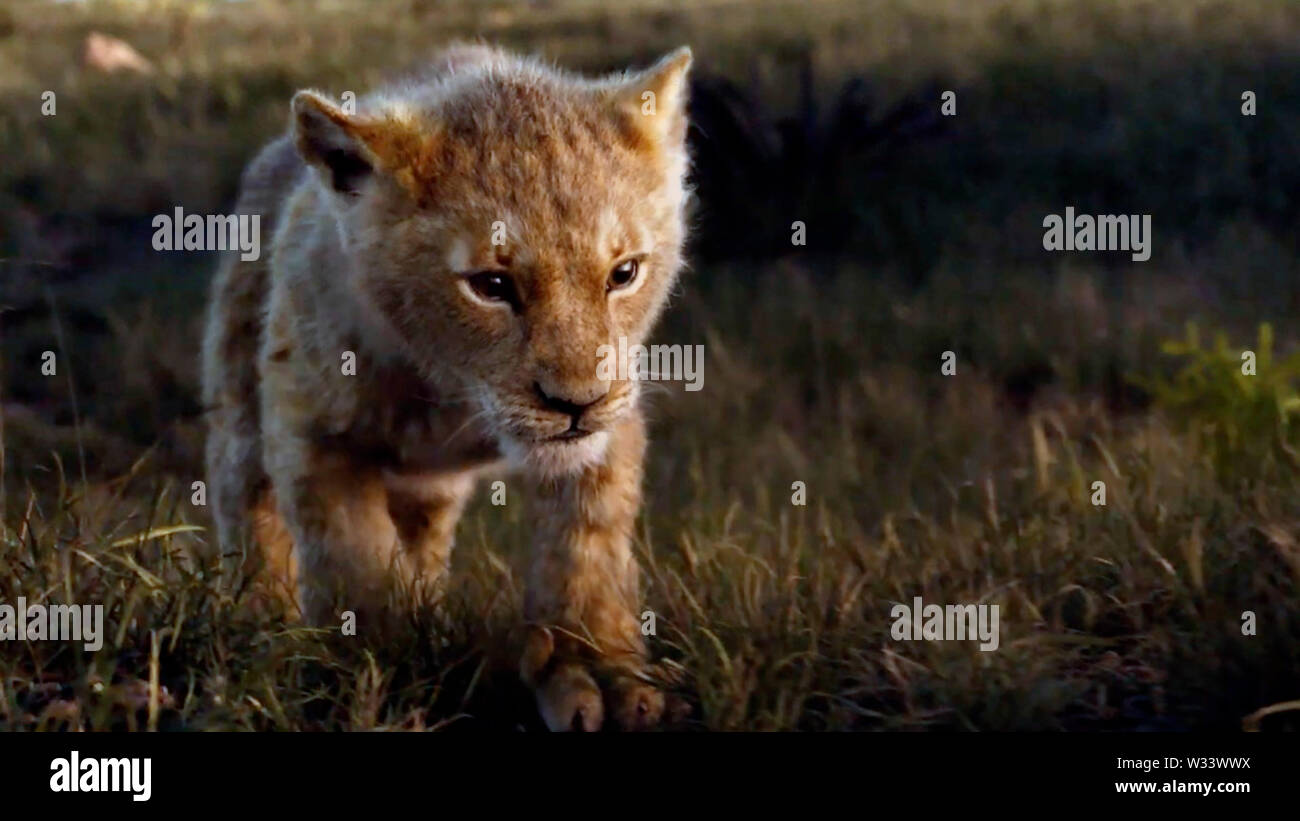 Le Roi Lion The Lion King 2019 De Jon Favreau Remake Du Film