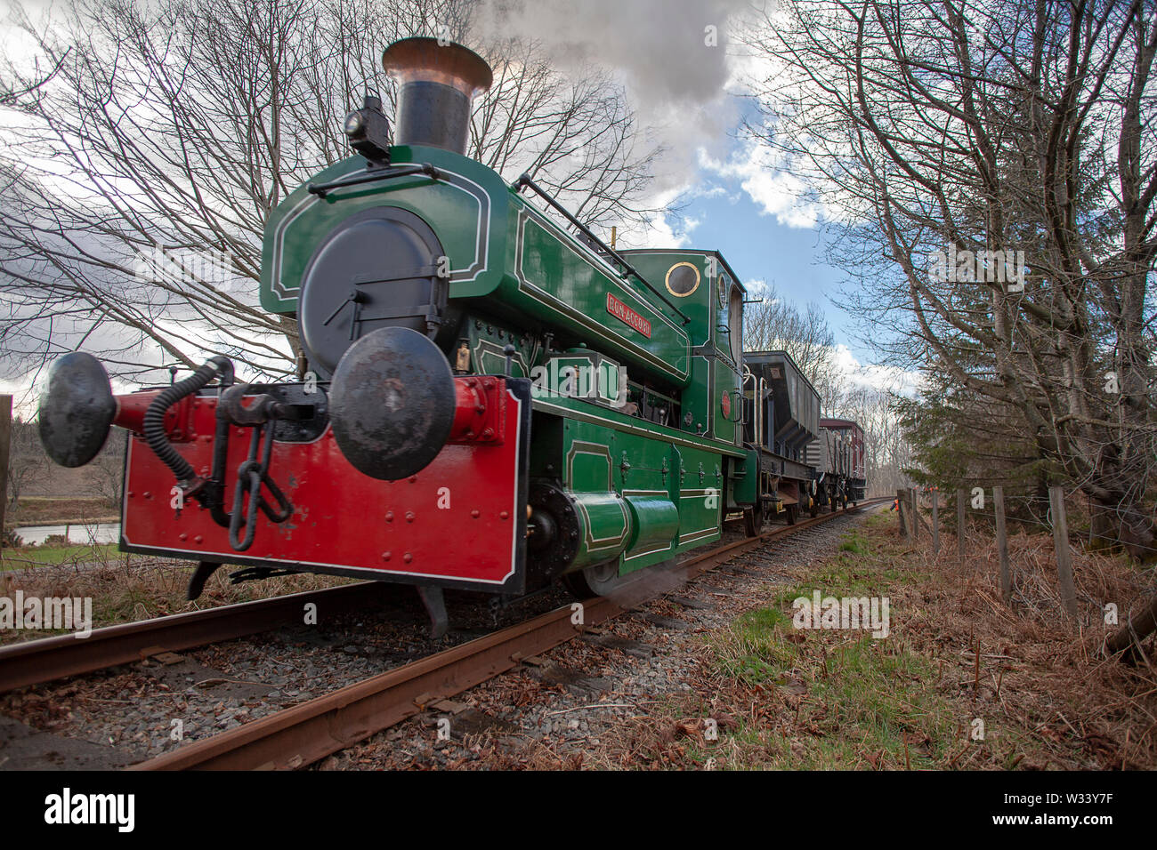 Anzai Leer dennenboom Restored steam engine (the Bon-Accord) running on a section of the Royal  Deeside Railway near Banchory on Deeside, Scotland Stock Photo - Alamy