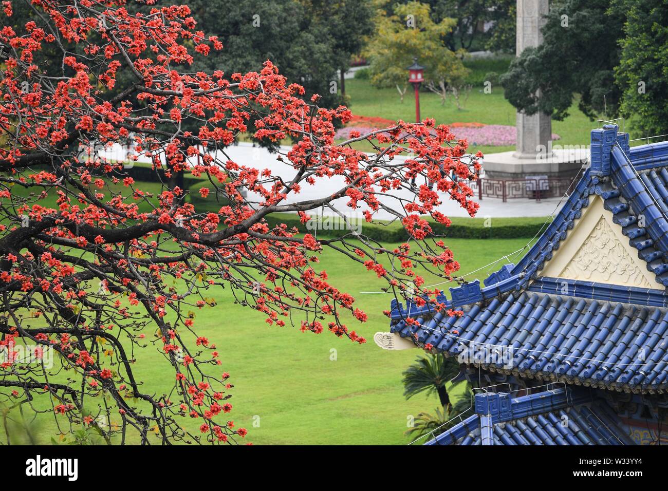 (190712) -- BEIJING, July 12, 2019 (Xinhua) -- Photo taken on Feb. 24, 2019 shows kapok flowers at Sun Yat-sen Memorial Hall in Guangzhou, capital of south China's Guangdong Province. Located in south China, Guangdong Province faces the South China Sea and borders Hunan and Jiangxi provinces to the north. It boasts the well-known Pearl River Delta, which is composed of three upstream rivers and a large number of islands. Due to the climate, Guangdong is famous for a diversified ecological system and environment. In recent years, by upholding the principle of green development, Guangdong has Stock Photo