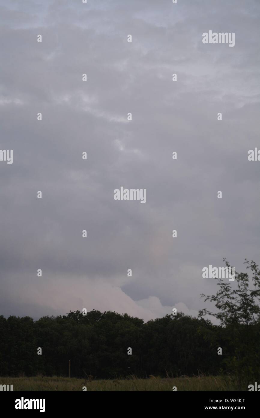 trees silhouetted against a grey cloudy looming sky Stock Photo - Alamy