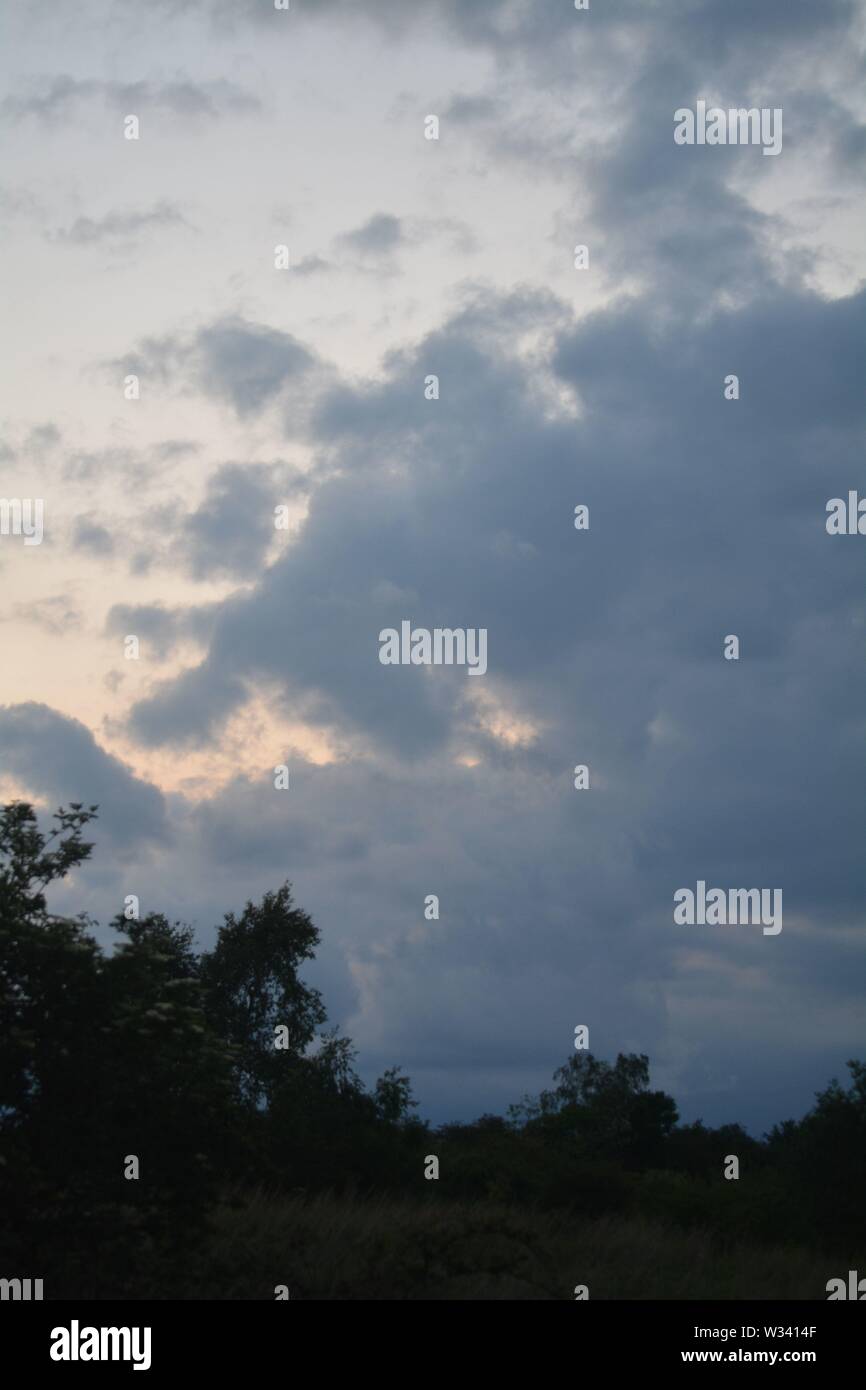 trees silhouetted against a grey cloudy looming sky Stock Photo - Alamy