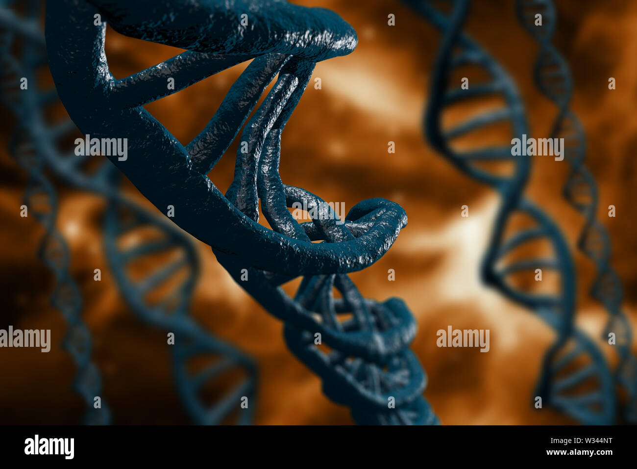 alamy