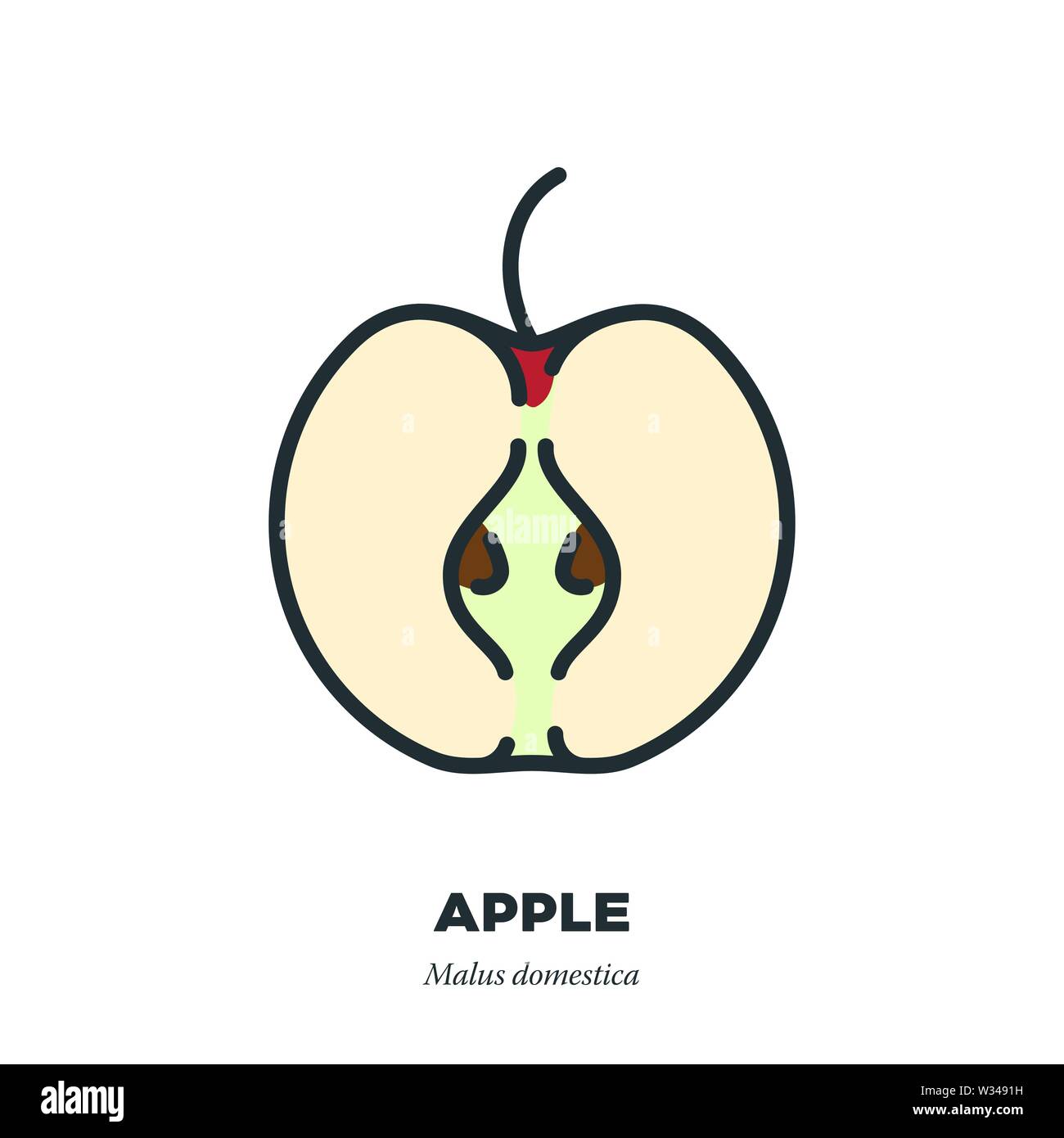 Half apple fruit icon, outline with color fill style vector illustration Stock Vector