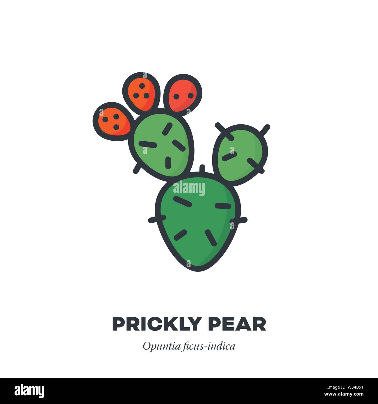 Prickly Pear Fruit Icon Outline With Color Fill Style Vector Illustration Cactus With Three Fruit Stock Vector Image Art Alamy