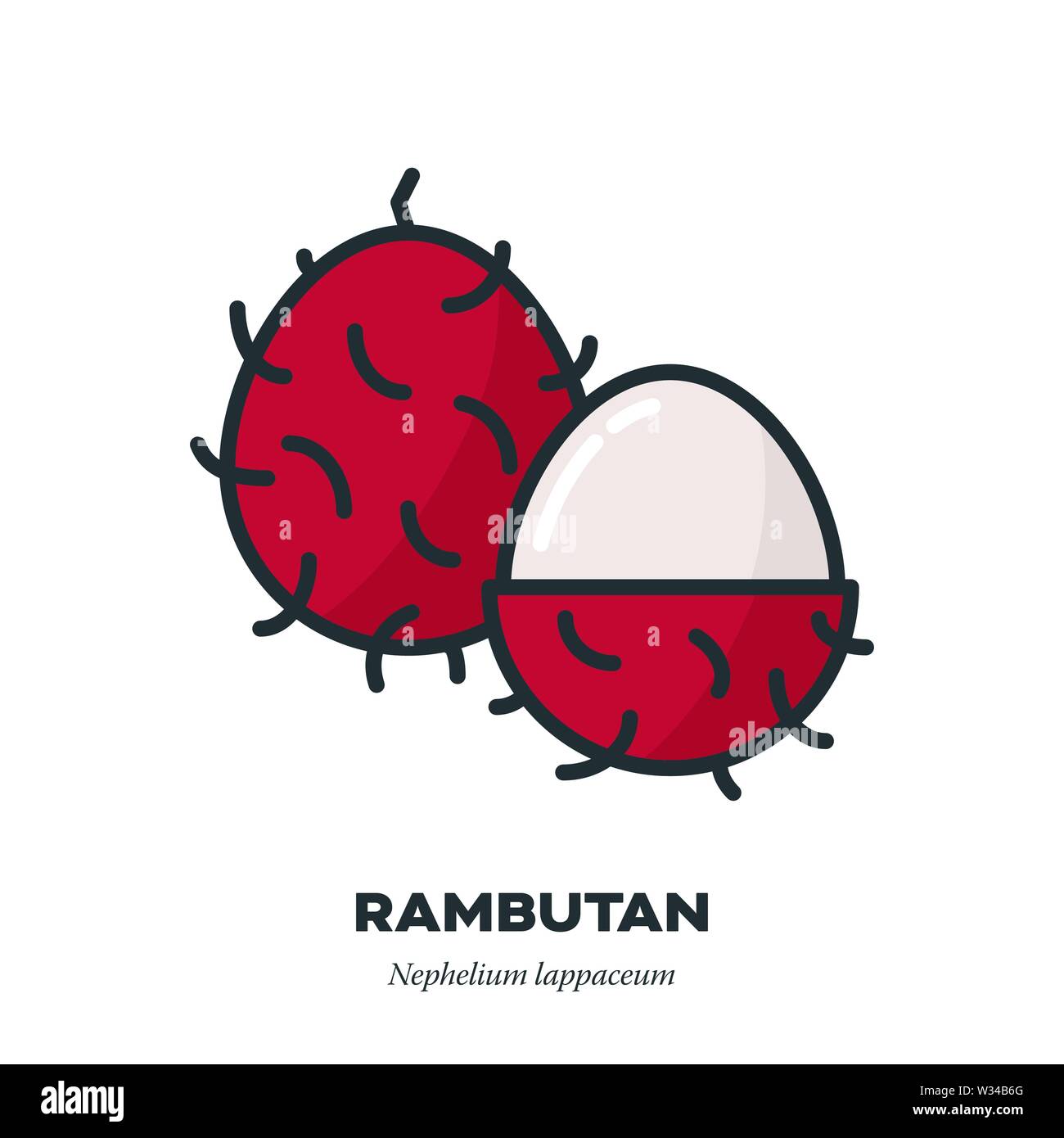 Rambutan nephelium lappaceum Stock Vector Images - Alamy