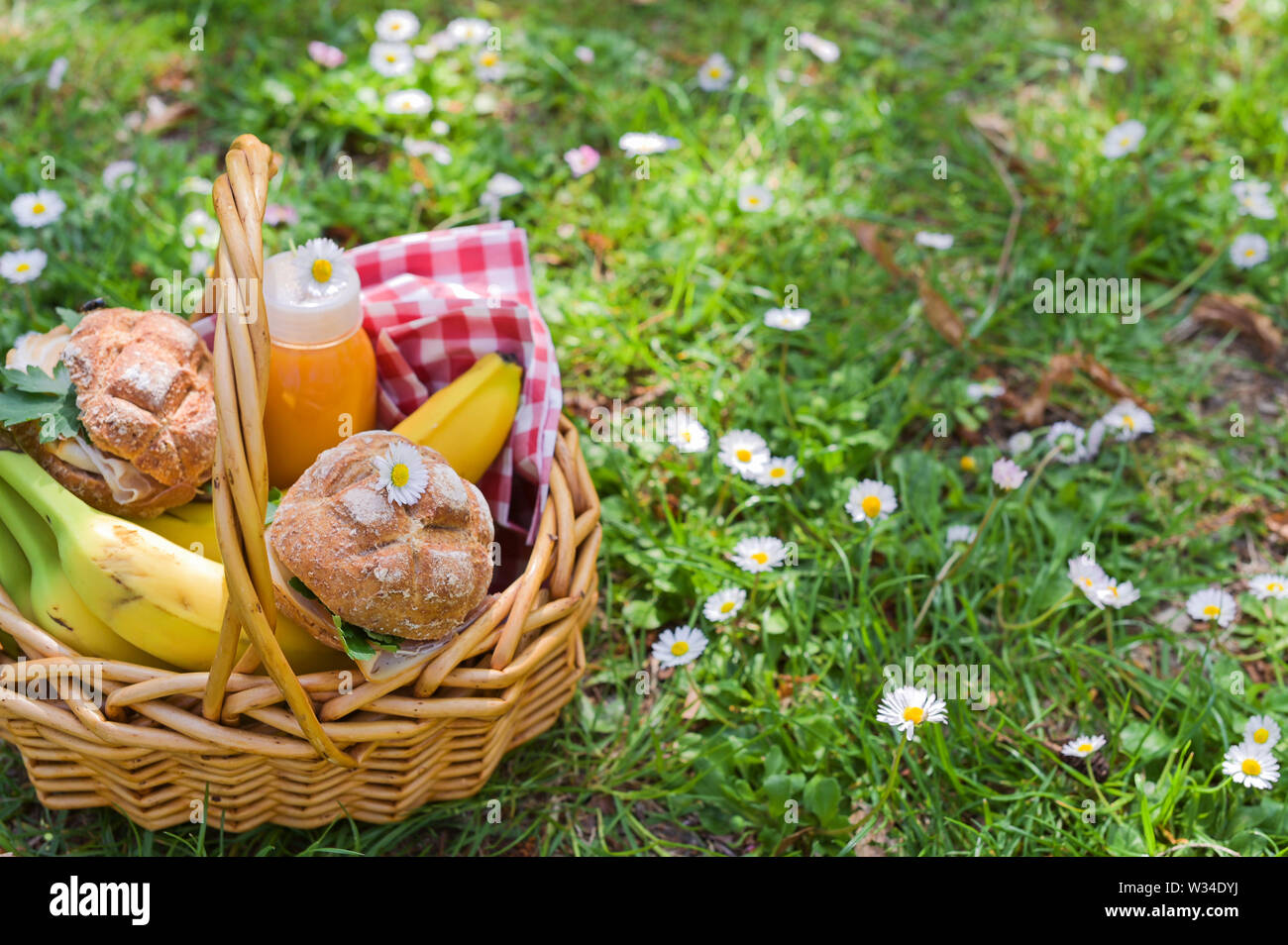 Lunch in the park on the green grass. Summer sunny day and picnic ...