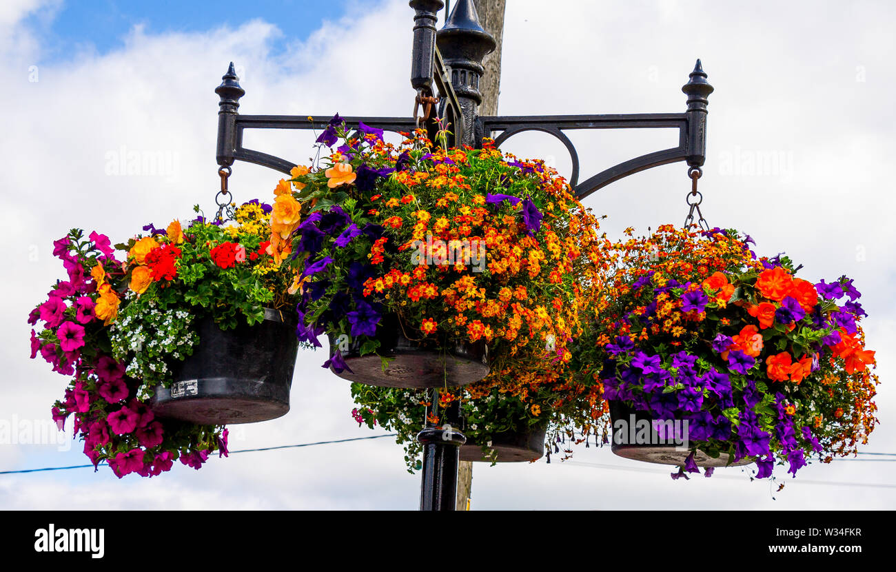 3 hanging baskets in full bloom Stock Photo