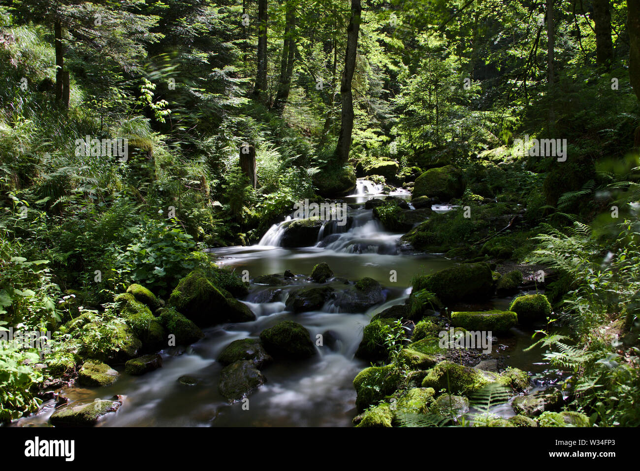 River summer landscape nature background wild rock scenic beautiful hi ...