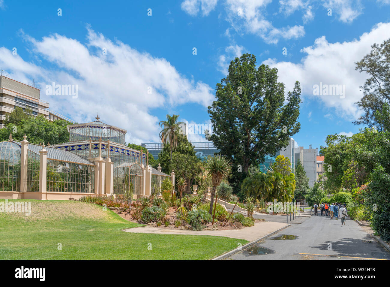 Adelaide Botanic Garden with the Palm House to the left, Adelaide, South Australia, Australia Stock Photo