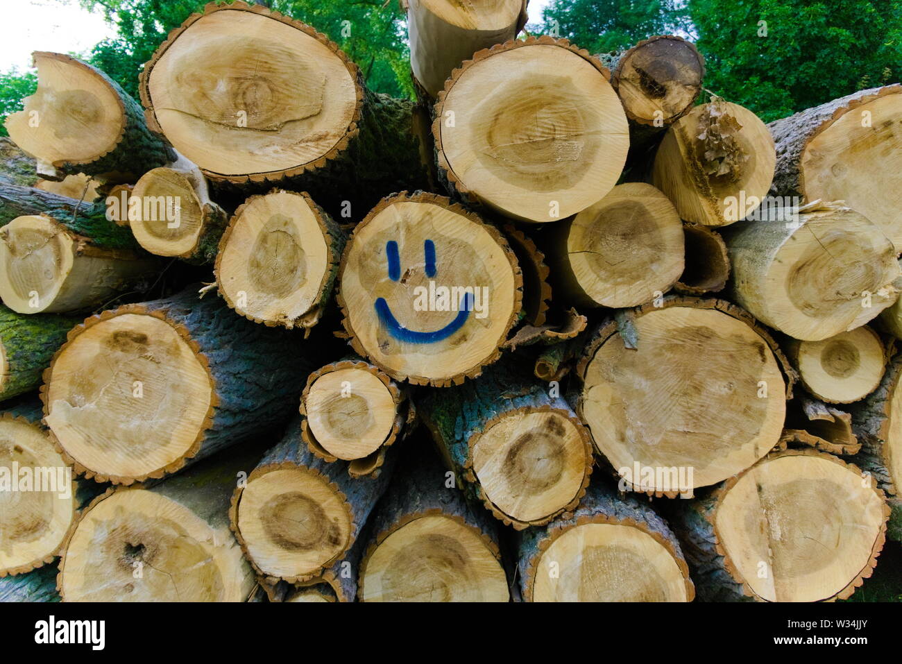cut down lumber stacked on each other tagged with a smiley face Stock Photo