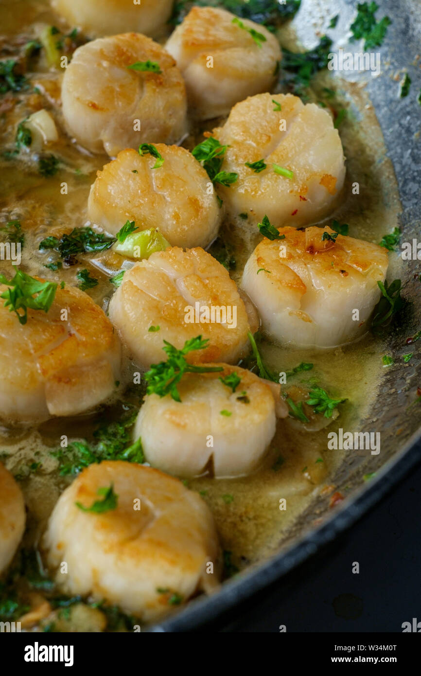 Seared scallops and herbs hires stock photography and images Alamy