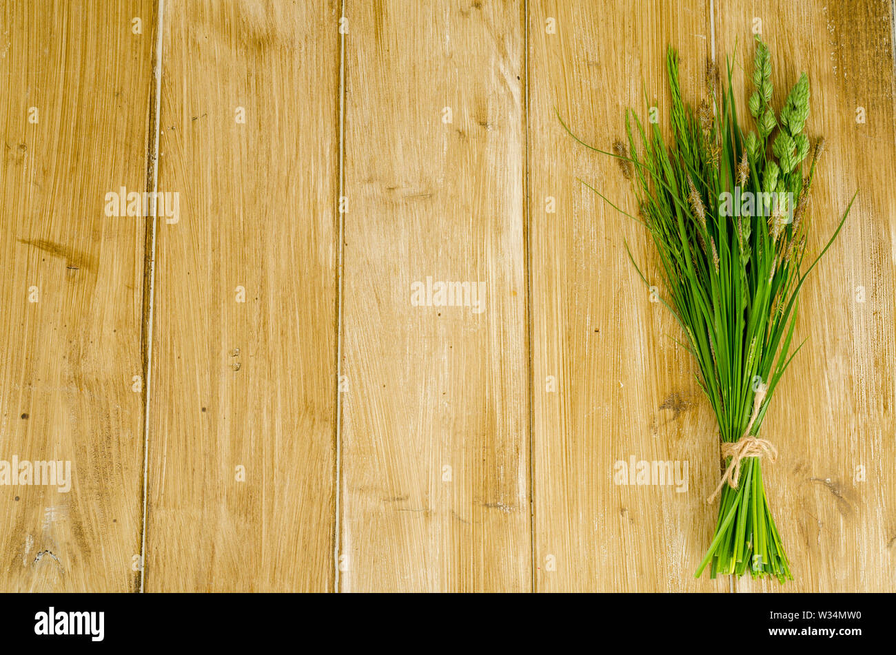 Bunch of wild herbs on bright background.  Stock Photo