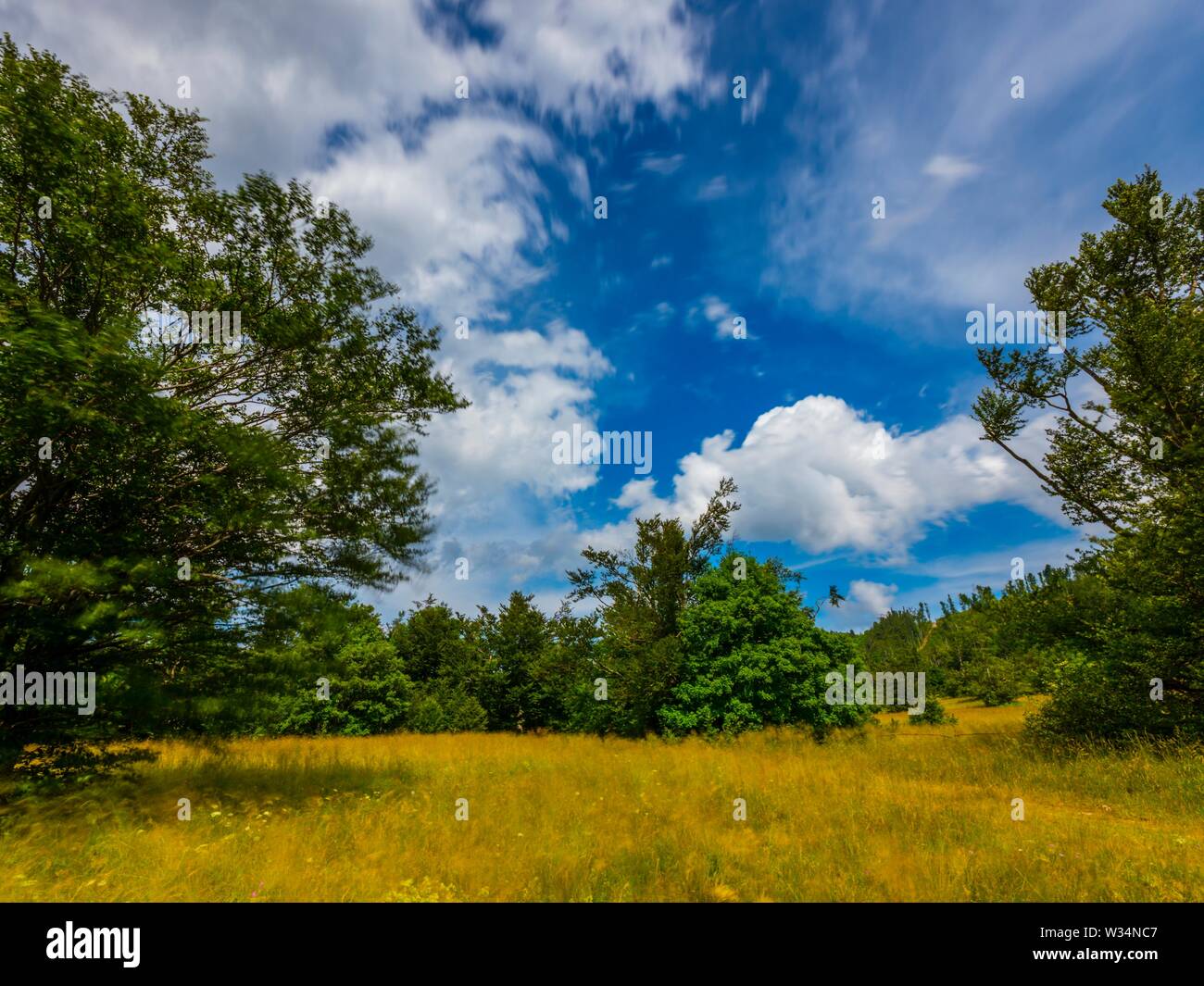 Green forest and White clouds Spring seasonal outdoors countryside scenery landscape longish exposure Gorski kotar in Croatia Europe Stock Photo
