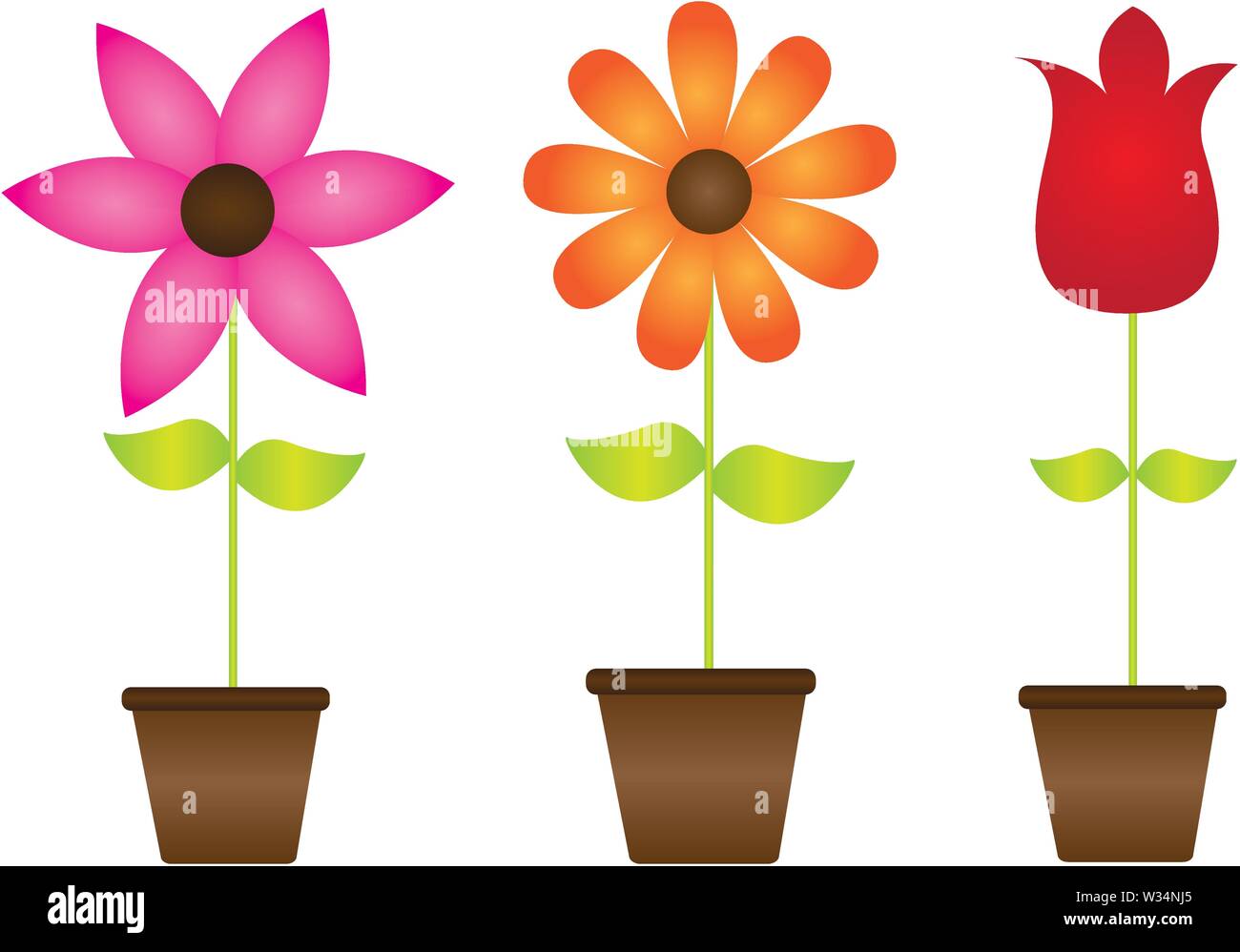 colorful flowers isolated over white background vector Stock Vector ...