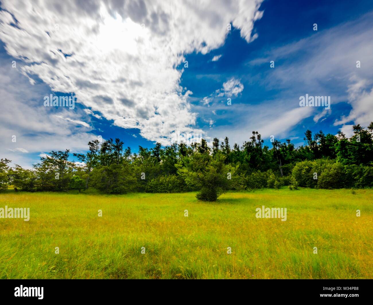 Green forest and White bright clouds Spring seasonal outdoors countryside scenery landscape longish exposure Gorski kotar in Croatia Europe Stock Photo