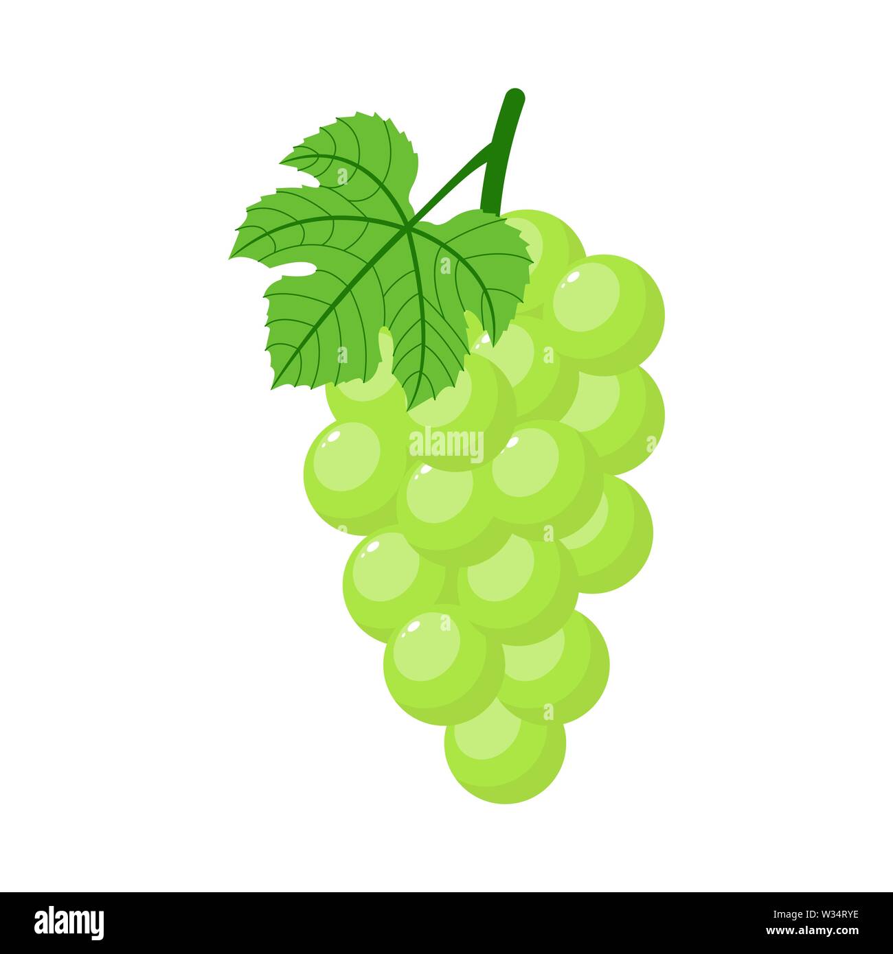 Green grapes isolated on white background. Bunch of green grapes with stem  and leaf. Cartoon style. Vector illustration for any design Stock Vector  Image & Art - Alamy