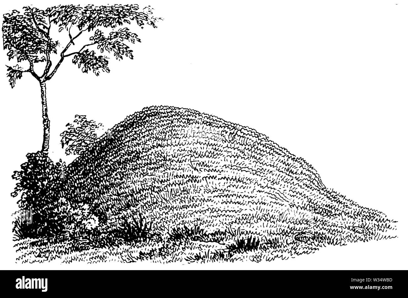 Hill grave with ash urns, ,  (cultural history book, 1875) Stock Photo