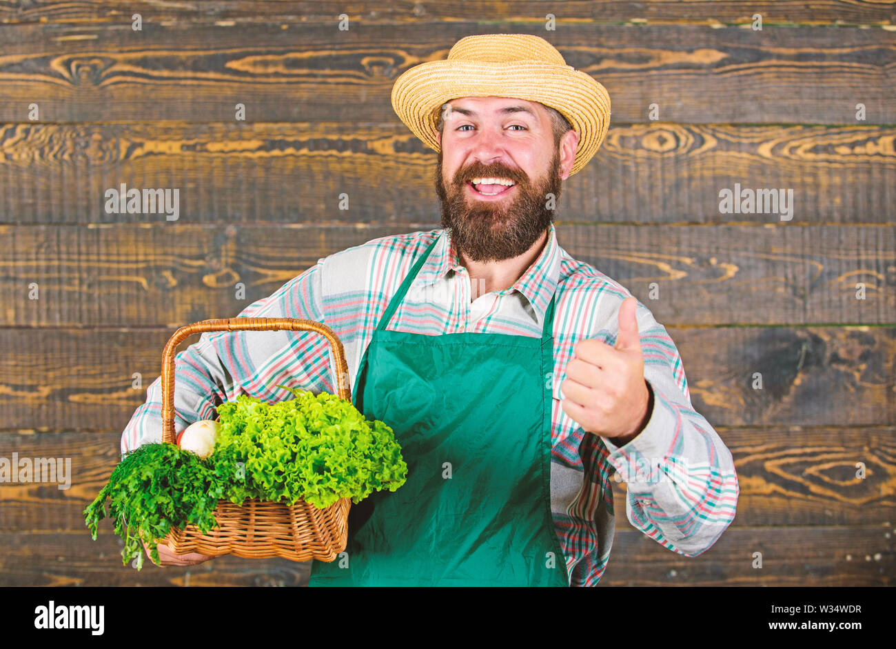 Fresh organic vegetables in wicker basket. Man bearded farmer