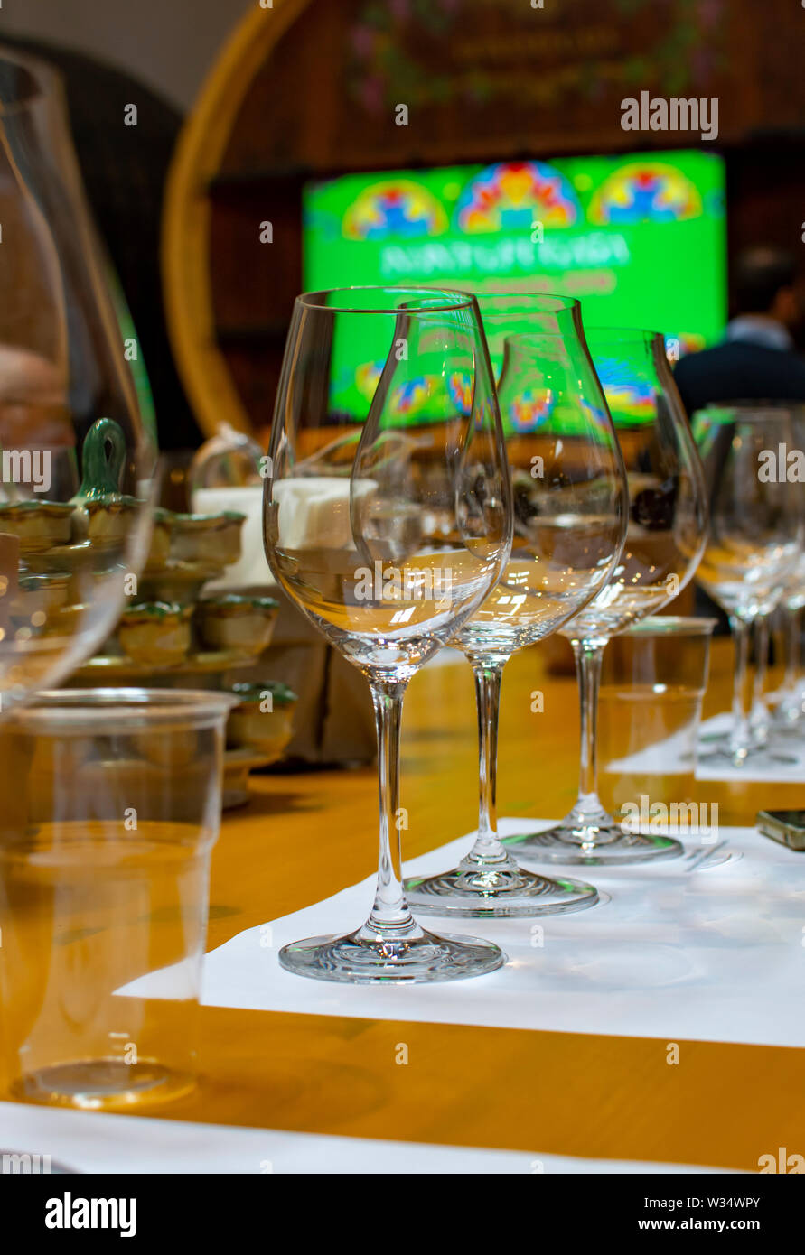 Professional wine tasting event in winery, sommelier course, clean