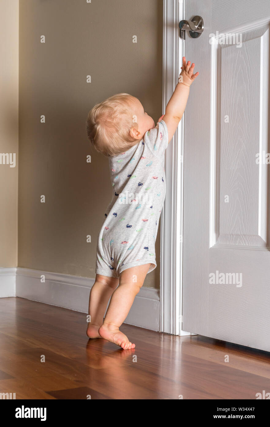 Young baby just able to walk reaching up for the door handle on wooden floor Stock Photo