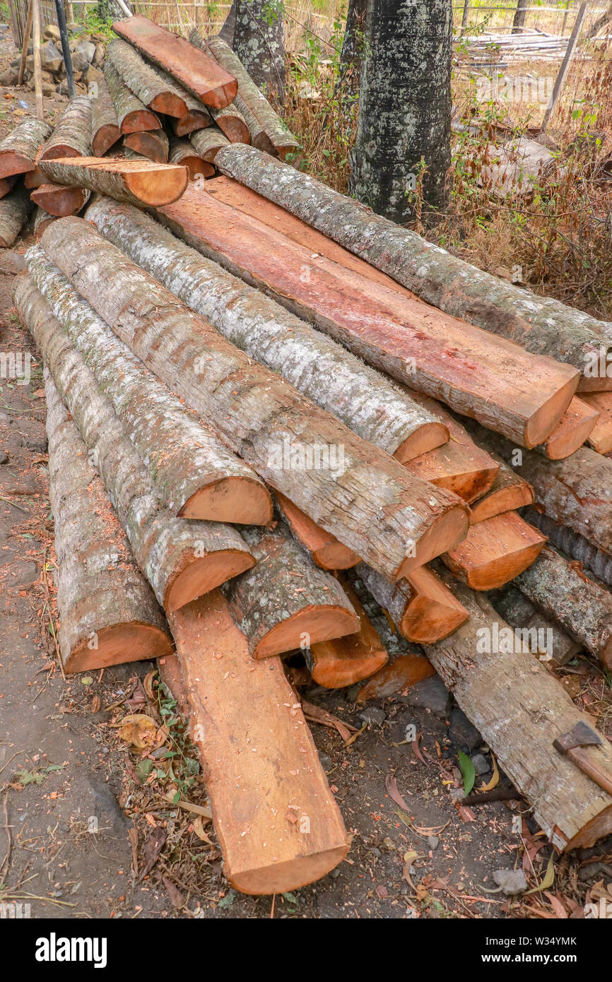 Cut and halved palm trunks with bark. Wood ready for further manual