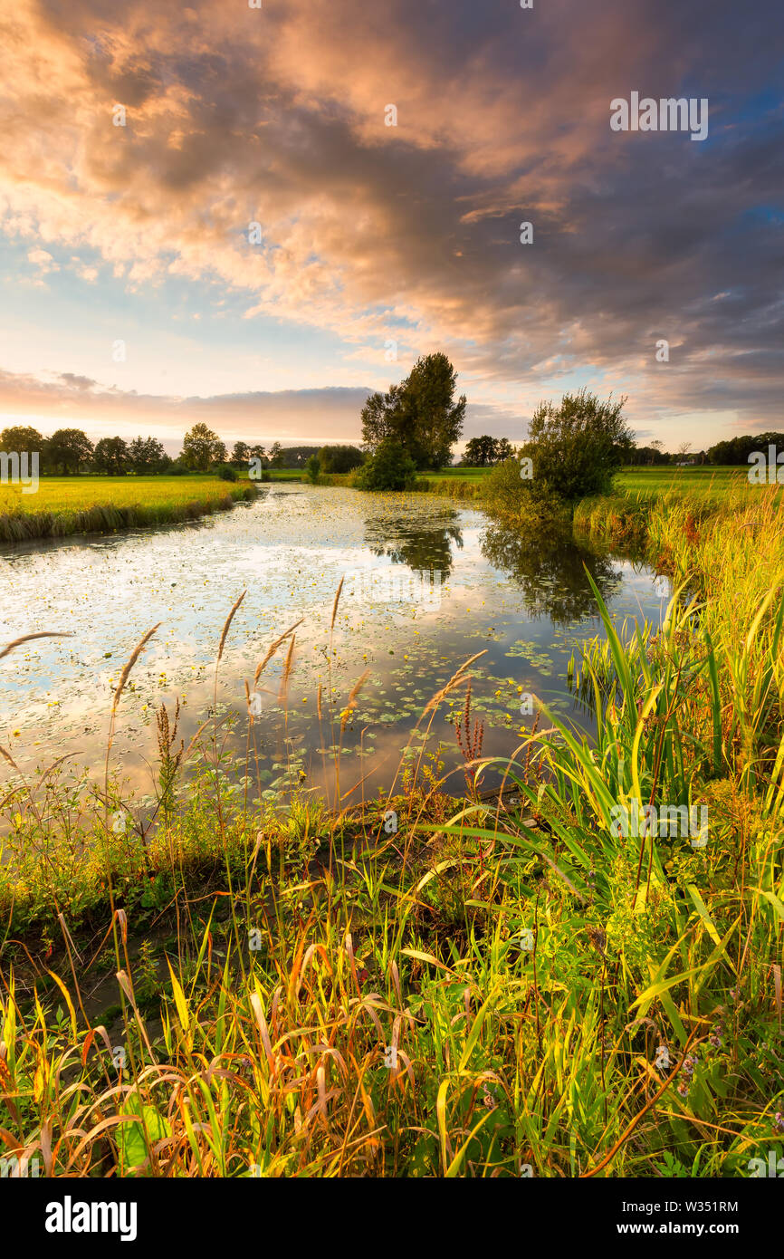 A meandering river in summer with lush grass and warm evening light with bright sunlight - Reest - Reestdal, Meppel, The Netherlands Stock Photo