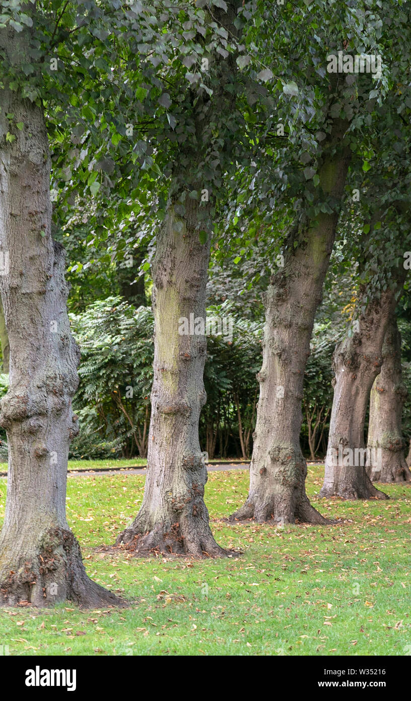 Ropner Park, Stockton on Tees. UK Stock Photo