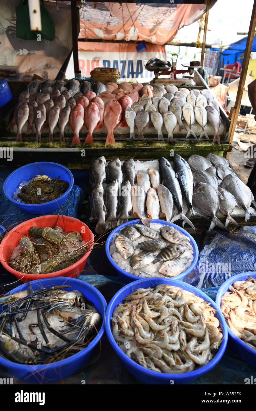 Fort Cochin Fish Market India High Resolution Stock Photography and