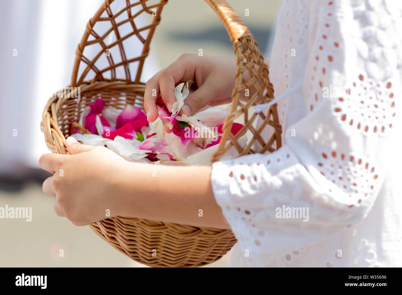 fresh roses petlas in wickery basket in childrens hand - bridal background Stock Photo